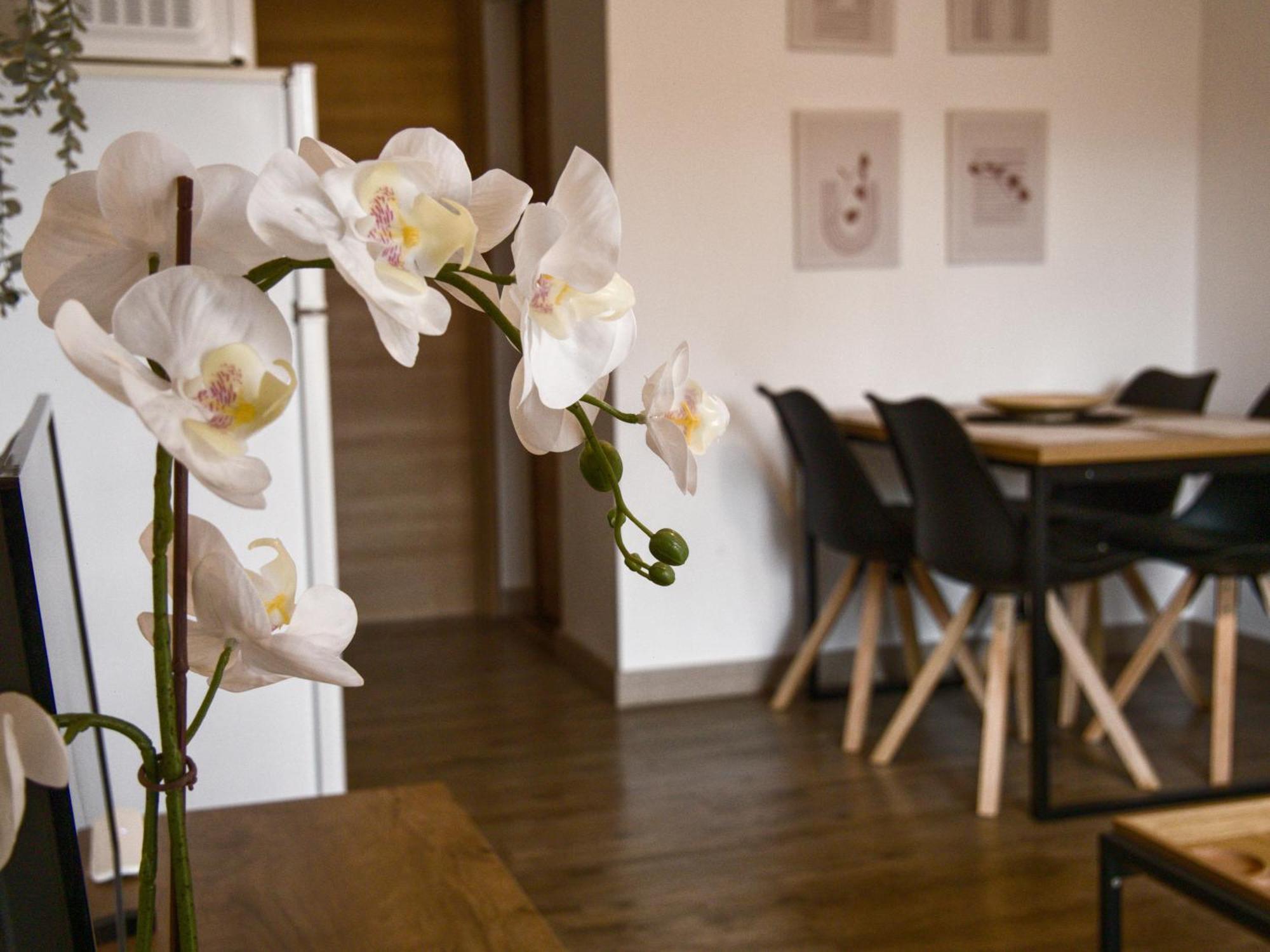 Apartamento Bit