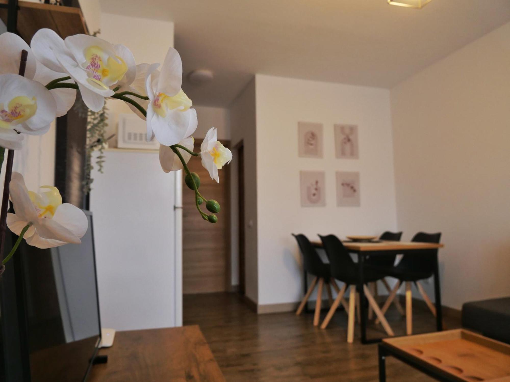 Apartamento Bit